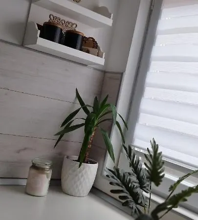 Queen Apartmancic Apartamento